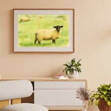 Suffolk Sheep Watercolour