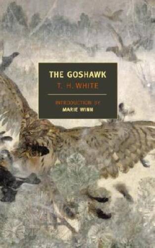 The goshawk new - the, york