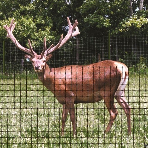 20m deer netting - 20m,