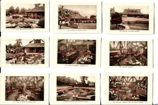 Vintage Original Visitors Cards For The Pantiles Bagshot Surrey 1930s? Very Rare