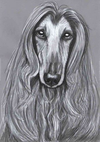 Original pencil drawing - original, b&w