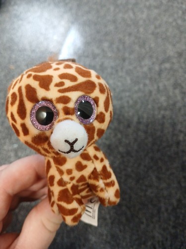 Teddies - ty,