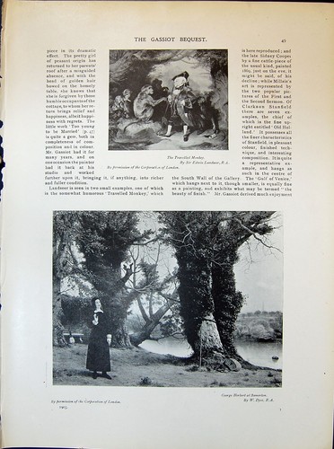 Old travelled monkey landseer - old,