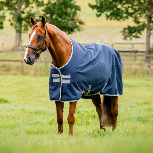 Horseware amigo ripstop 900 - horseware,