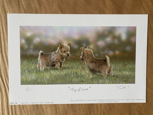 Dog art norwich terrier - norwich,
