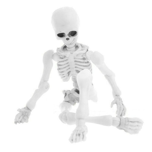 Movable bones skeleton - mr.,