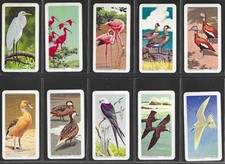 1964 Brooke Bond Canada Tropical Birds  Full Set Plastic Sleeves