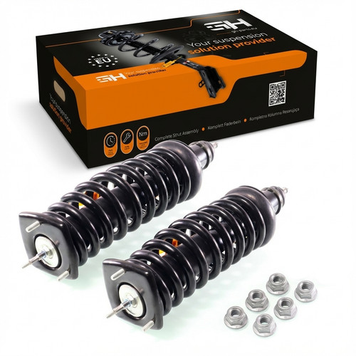 Complete struts assembly - complete,