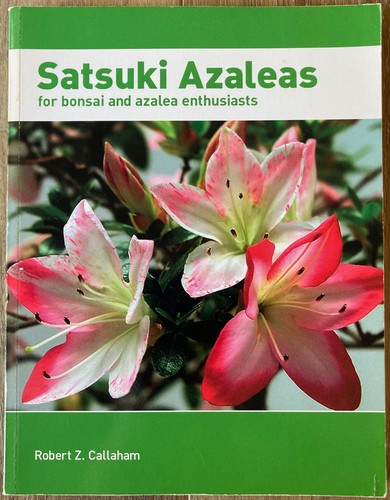 Satsuki azaleas for bonsai - satsuki,