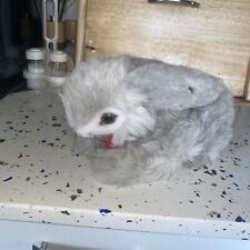 Vintage Steiff Rabbit Bunny Winnie  20 cm, plush, with tag