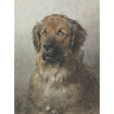 Eerelman Head Leonberger Giant