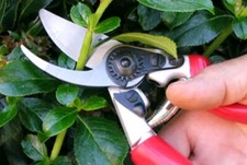 DARLAC - EXPERT ROTATING PRUNER / SECATEURS. GARDEN PRUNING. See Description. 