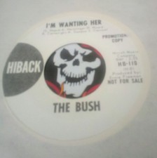 RARE 66 PUNK GARAGE THE BUSH