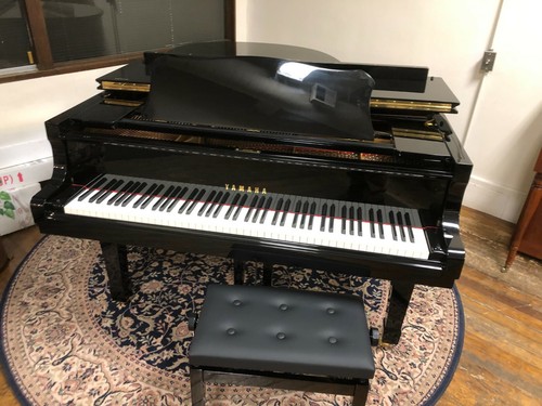 Yamaha conservatory - yamaha, 6'1"