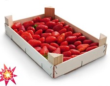 6 x Large Stackable Empty Strawberry Wooden Trays Mushroom Trays Crates Boxes