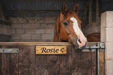Personalised Horse Stable Door