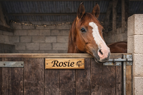 Personalised horse stable - horse, door
