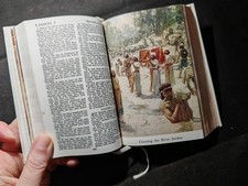 Pocket Holy Bible Illustrated