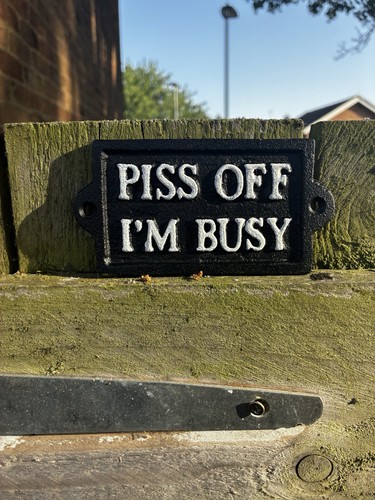 Piss off busy cast - busy,