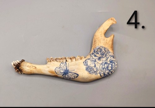 Decorated sheep jawbone - sheep,