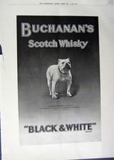 Old Print Ref.951 1912