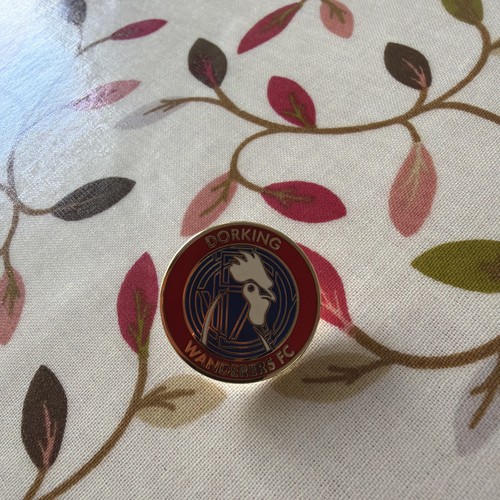 Dorking wanderers pin - wanderers,