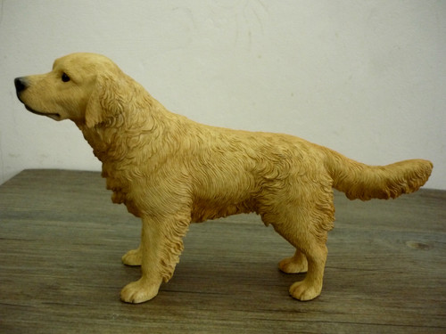 Standing golden retriever - standing,