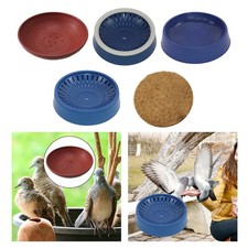 Bird Nest Bird Egg Basin