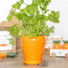 Carrot Shaped Plant Pot with