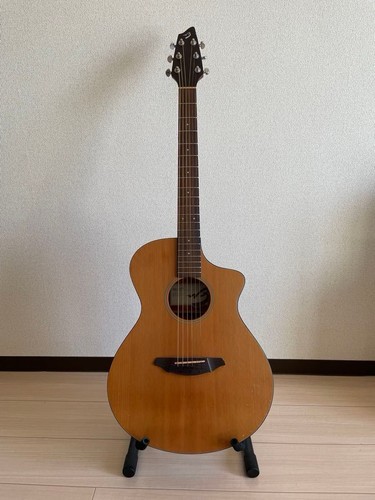 Breedlove passport c25ce - breedlove,