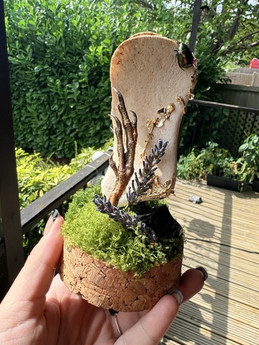 Taxidermy dome cow bone - cow, scarab