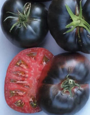TOMATO 9 SEEDS BLACK BEAUTY