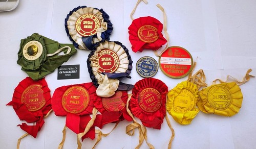 British horse society - british,
