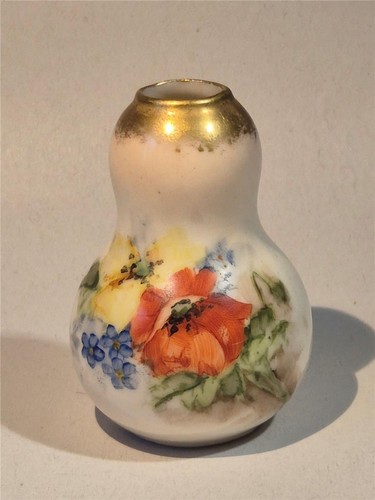 Small antique nautilus - a,
