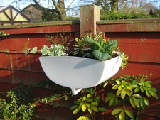 Wall planter