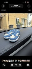 Kids Dunks Size 6.5 Baby Blue