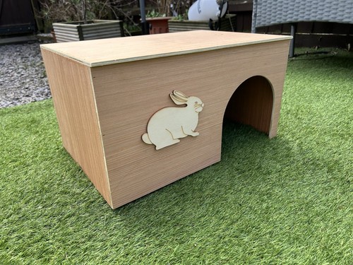 New design large size rabbit - design,