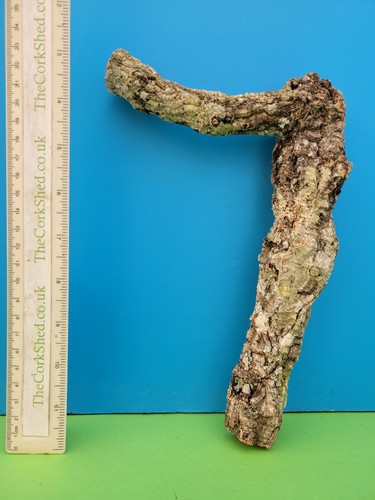 Cork bark branch 25cm - cork,