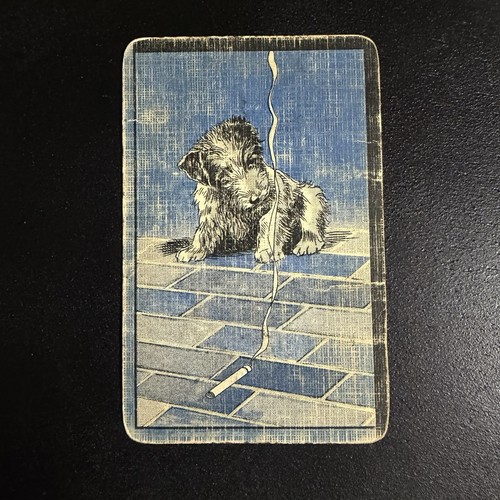 Terrier puppy dog - terrier, “smoky”
