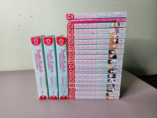 Fruits basket complete - fruits,