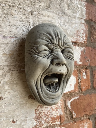 Stone garden the scream face - the,
