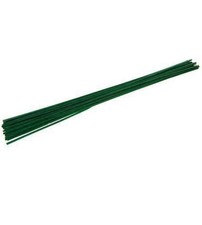 50 X Bamboo Wooden Plant