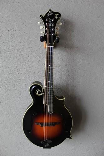 Brand new the loar 600 - brand,