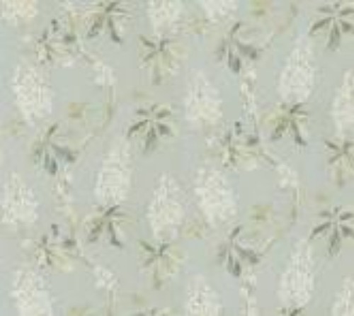 New sanderson chestnut tree - chestnut,