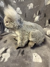 Bocchetta Koala Bear Soft Toy