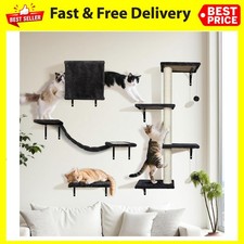 OZD Cats Climbing Wall Set