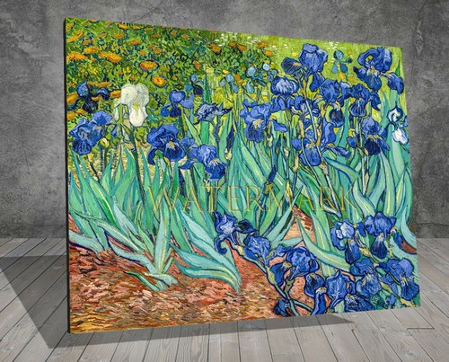 Van gogh irises flower garden - van,