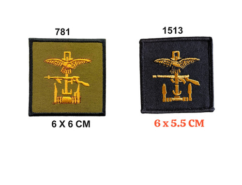 Joint force combined ops - combined,