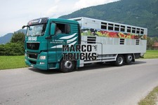 Truck Photo MAN TGX Animal