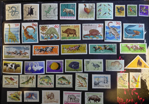 Thematic stamps birds fish - stamps,